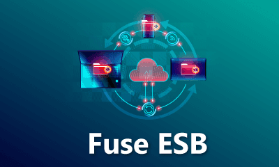 Fuse ESB Training